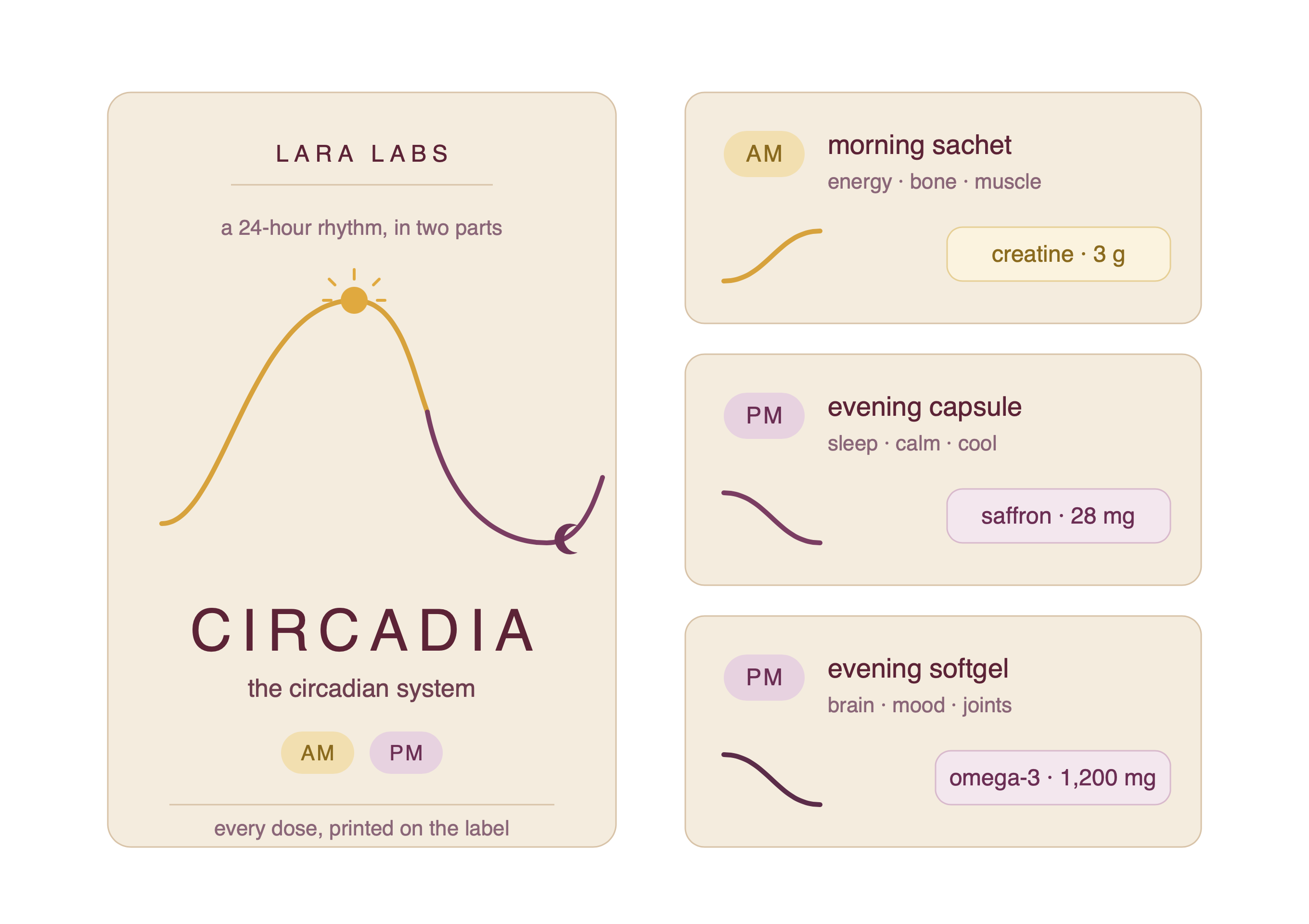 The Circadia System — morning and evening rituals, with each ingredient at its clinical dose.
